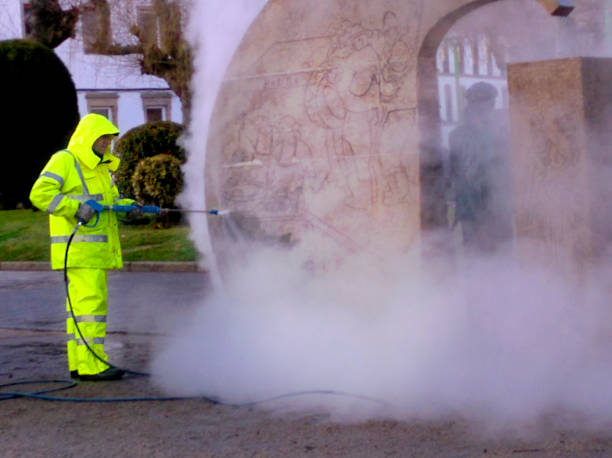 Best House Pressure Washing  in Westwood, MI