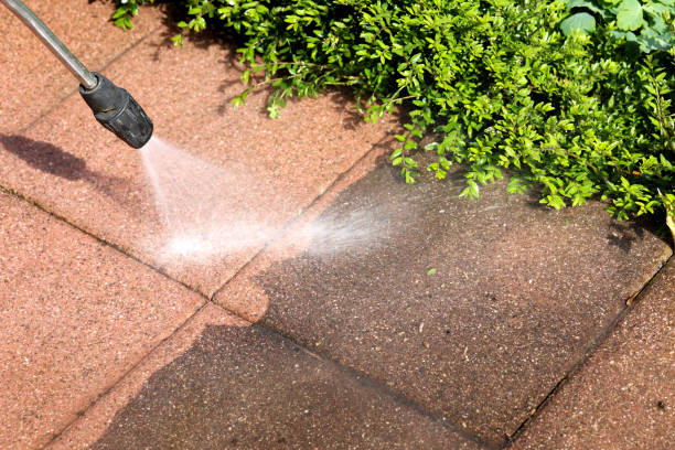 Best Exterior Home Cleaning  in Westwood, MI